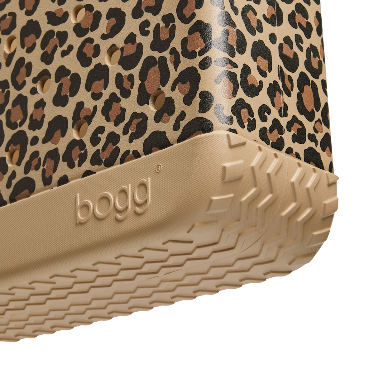 Baby - I Am Leo, Hear Me Roar C6